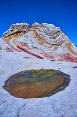 Yalnız bir yürüyüşçü Vermilion Cliffs Arizona 'daki Beyaz Cep' in girdaplı kumtaşını keşfeder. Nadir görülen bir havuz, Mermer Kanyon Çölü 'nün uzak güzelliğini ve macerasını gösteren canlı gökyüzünü yansıtır.