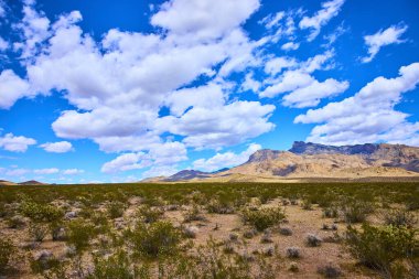 Engin çöl arazisi, seyrek bitki örtüsü dağ sırtı ve canlı bulutlarla dolu Birleşik Devletler Altın Göt Ulusal Anıtı Nevada 'da.