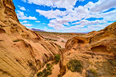 Altın Göt Ulusal Anıtı Nevada 'da canlı bir gökyüzü altında eşsiz kumtaşı oluşumları ve çöl bitkileri Whitney Pocket' in dramatik bir güneybatı manzarası yaratmasıyla