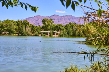 Las Vegas 'taki Floyd Lamb Parkı' nda yeşil ağaçlar ve dağ zeminiyle çevrili huzurlu gölet rahatlama ve doğal güzelliği anımsatıyor.