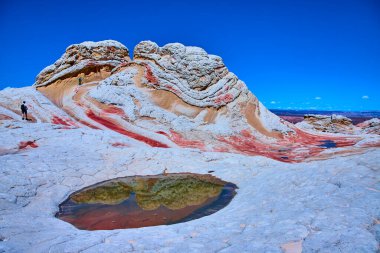Yürüyüşçüler, Vermilion Cliffs Ulusal Anıtı Arizona 'daki Beyaz Cep' in hareketli kaya oluşumlarını keşfediyor. Sakin bir havuz, berrak mavi gökyüzünün altındaki çarpıcı çöl manzarasını yansıtıyor.