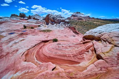 Vermilion Cliffs 'teki White Pocket' de dönen kumtaşı katmanları ve canlı çizgiler Arizona Ulusal Anıtı macera ve doğa temaları için açık mavi gökyüzü altında dramatik jeoloji sergiliyor
