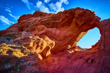 Altın Göt Ulusal Anıtı Nevada 'da çarpıcı kırmızı kumtaşı oluşumu cesur dokular ve parlak mavi gökyüzü Whitney Pocket' in eşsiz jeoloji ve çöl manzarasını vurguluyor.