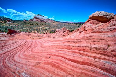 Vermilion Cliffs Ulusal Anıtı Arizona 'daki White Pocket' da canlı kırmızı ve pembe kumtaşı dalgaları açık mavi gökyüzü altında dramatik tasarruflar Amerikan Güneybatısının vahşi güzelliğini yansıtıyor.
