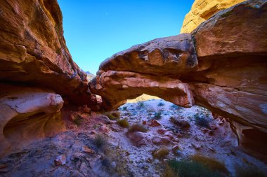 Golden Butte Ulusal Anıtı Nevada 'da parlak kırmızı kayalar çöl bitki örtüsü ve açık mavi gökyüzü doğal güzelliği vurguluyor.