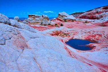 Arizona 'daki Paria Platosu' ndaki White Pocket 'daki kıvrımlı kum taşı tepecikleri ve tepecikleri bu çarpıcı çöl manzarasının ölçeği için küçük yürüyüşçülerle mavi gökyüzünün altında sakin bir havuza yansıyor.