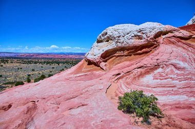 Canlı kumtaşı dalgaları ve yalnız yeşil bir çalılık Arizonas Vermilion Kayalıkları 'nın güzelliğini ve direncini gözler önüne seriyor. Parlak mavi gökyüzünün altında, Mermer Kanyon' un vahşi ruhunu yakalıyor.