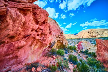 Altın Göt Ulusal Anıtı Nevada 'da Whitney Pocket manzaralı parlak mavi gökyüzünün altında canlı kumtaşı kayaları ve çöl bitkileri.