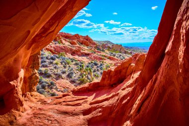 Doğal kemer oluşumu, Nevada 'daki Altın Göt Ulusal Anıtı' nda parlak mavi bir gökyüzünün altında canlı kırmızı kayalar ve çöl bitkilerini çerçeveler.