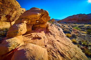 Güneşli kum taşı oluşumları ve kuru çöl bitkileri, açık mavi gökyüzünün altındaki Nevada Ulusal Altın Göt Anıtı 'nda engebeli bir manzara yaratır.