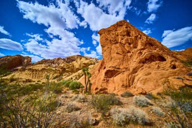 Çölün üzerinde dramatik kırmızı kaya oluşumları yükseliyor ve Joshua Trees, Nevada 'daki Gold Butte Ulusal Anıtı' nda canlı bir gökyüzü altında Whitney Pocket ve Amerika 'nın güneybatısının özünü yakalıyor.