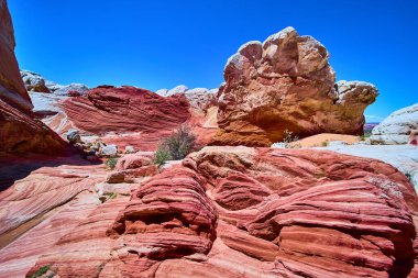 Arizonas Vermilion Kayalıkları ve Beyaz Cep 'teki derin mavi gökyüzünün altında canlı kırmızı ve turuncu kumtaşı dalgaları yükseliyor, dramatik jeoloji ve Amerika' nın güneybatısının vahşi güzelliğini gözler önüne seriyor..