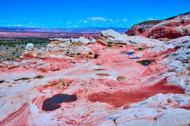 Titreyen kum taşı oluşumları ve sığ havuzlar Vermilion Cliffs Ulusal Anıtı Arizona 'daki White Pocket' da göz kamaştırıcı bir çöl manzarası yaratıyor.