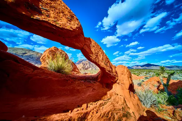 Kızıl kaya kemeri, Joshua ağaçlarıyla çöl manzarasını ve Nevada 'daki Gold Butte Ulusal Anıtı' ndaki dramatik bulutları Whitney Pocket yakınlarında parlak mavi bir gökyüzünün altında çerçeveler.