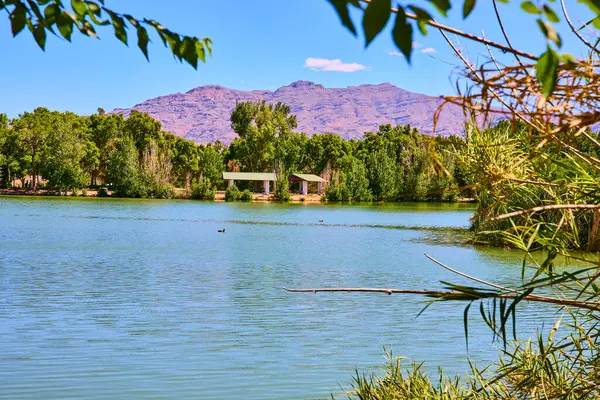 Las Vegas 'taki Floyd Lamb Parkı' nda yeşil ağaçlar ve dağ zeminiyle çevrili huzurlu gölet rahatlama ve doğal güzelliği anımsatıyor.