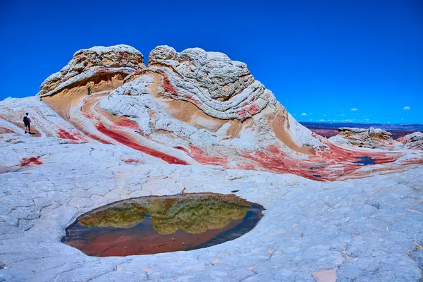 Yürüyüşçüler, Vermilion Cliffs Ulusal Anıtı Arizona 'daki Beyaz Cep' in hareketli kaya oluşumlarını keşfediyor. Sakin bir havuz, berrak mavi gökyüzünün altındaki çarpıcı çöl manzarasını yansıtıyor.