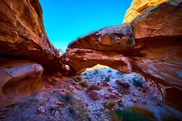 Golden Butte Ulusal Anıtı Nevada 'da parlak kırmızı kayalar çöl bitki örtüsü ve açık mavi gökyüzü doğal güzelliği vurguluyor.
