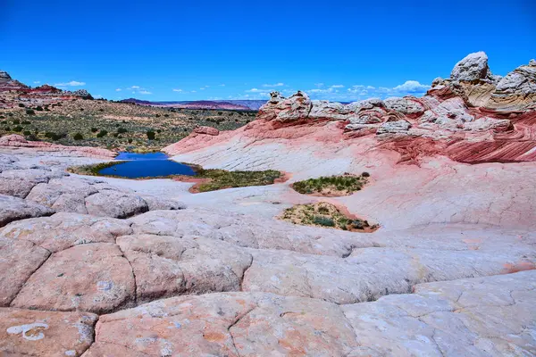 Canlı çok renkli kaya oluşumları, sakin bir su havuzu ve Vermilion Cliffs Ulusal Anıtı 'ndaki White Pocket' da geniş bir çöl alanı Kuzey Arizona 'nın vahşi güzelliğini yansıtıyor.