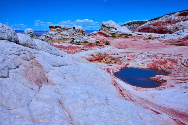 Arizona 'daki Paria Platosu' ndaki White Pocket 'daki kıvrımlı kum taşı tepecikleri ve tepecikleri bu çarpıcı çöl manzarasının ölçeği için küçük yürüyüşçülerle mavi gökyüzünün altında sakin bir havuza yansıyor.