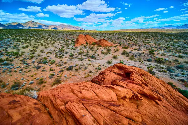 Golden Butte Ulusal Anıtı 'ndaki Whitney Pocket' daki canlı kırmızı kayalar Nevada parlak mavi gökyüzünün altında geniş bir çöl ovasına ve uzak dağlara karşı duruyor.