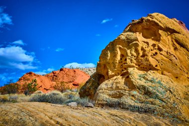 Bal peteği dokusuna sahip renkli kumtaşı oluşumları çöl bitkisinin üzerinde yükselir ve Whitney Pocket Ulusal Anıtı Nevada 'da, Gold Butte Ulusal Anıtı' nda canlı mavi gökyüzünün altında fırçalanır.