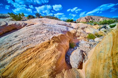 Kum taşı desenli kayalar çöl bitkileri ve uzak tepeler, canlı bir gökyüzü altında, Nevada 'da, Birleşik Devletler' de, Whitney Pocket 'in doğal güzelliğini yansıtıyor.