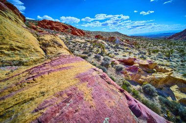 Kırmızı ve sarı kumtaşı bantları kurak arazinin üzerinde yükseliyor. Joshua ağaçları ve parlak gökyüzü altında Whitney Pocket Nevada yakınlarındaki Gold Butte Ulusal Anıtı 'ndaki çalılarla benekli.