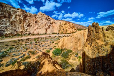 Nevada 'daki Gold Butte Ulusal Anıtı engebeli kumtaşı uçurumları çöl yolu ve Whitney Pocket yakınlarında canlı bir gökyüzünün altında seyrek bitki örtüsü