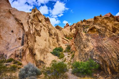 Altın Göt Ulusal Anıtı Nevada 'daki parlak mavi gökyüzünün altında sert çöl bitkilerinin üzerinde çarpıcı kumtaşı oluşumları ve kanyon duvarları yükseliyor.