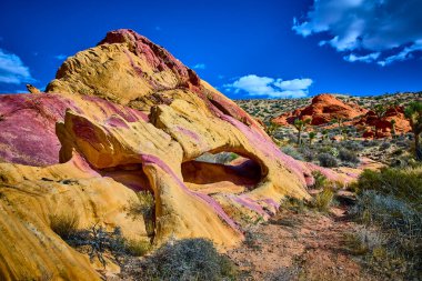 Nevada 'daki Whitney Pocket Ulusal Anıtı' nda açık mavi gökyüzünün altında katmanlı kumtaşı ve çöl bitkisi içeren canlı bir Napoli kemeri oluşumu.