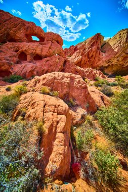 Kum taşı oluşumu ve Whitney Pocket 'in engebeli arazisi Nevada' daki Altın Kalça Ulusal Anıtı çöl bitkisi ve canlı gökyüzü.
