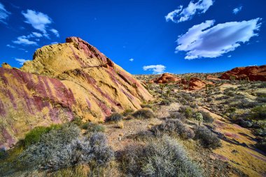 Canlı çizgili kumtaşı kayaları çöl çalıları ve parlak mavi gökyüzünün altında Joshua ağaçları Nevada 'daki Altın Göt Ulusal Anıtı Whitney Pocket' in engebeli doğal güzelliğini yakalıyor.