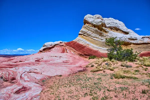 Arizona 'daki Vermilion Cliffs Ulusal Anıtı' ndaki White Pocket 'da canlı kumtaşı girdabı var. Mavi gökyüzü ve dayanıklı çöl bitkileri Amerika 'nın güneybatı vahşi doğasının güzelliğini ve macerasını gözler önüne seriyor..