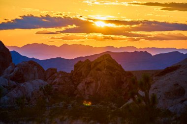 Altın saat güneş ışığı Nevadas 'ın Altın Butte Ulusal Anıtı' nı dramatik kayalar, Joshua ağaçları ve gün batımında uzak dağ siluetleri ile yıkıyor.