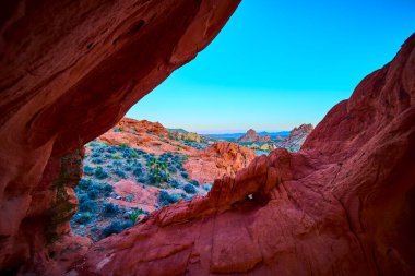 Whitney Pocket Nevada 'daki engebeli oluşumlar ve çöl bitkileri açık mavi bir gökyüzünün altında kırmızı kumtaşı kemerleri altında.