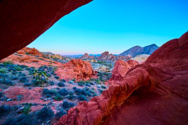 Canlı kırmızı kaya kemer oluşumu ve engebeli arazi, açık mavi gökyüzünün altında, Whitney Pocket 'daki Nevada Ulusal Altın Göt Anıtı' nda çöl bitkileriyle süslenmiş.