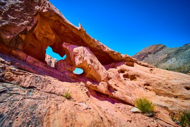 Whitney Pocket Nevada 'da bir kemer içindeki güneşli kemer, Gold Butte Ulusal Anıtı' ndaki açık mavi gökyüzünün altında dramatik kaya oluşumlarını ve engebeli araziyi gösteriyor.