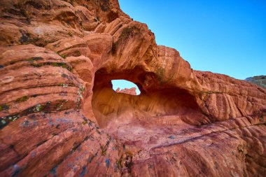 Nevada 'daki Whitney Pocket Ulusal Anıtı' nda yosun yamaları ve parlak mavi gökyüzü eşsiz çöl jeolojisini vurguluyor.