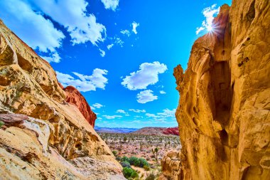 Engebeli kumtaşı uçurumları canlı çöl bitkileri ve geniş gökyüzü Whitney Pocket 'i Gold Butte Ulusal Anıtı Nevada' da gün ortası güneşinin altında tanımlıyor.