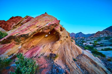 Renkli kumtaşı kemeri oluşumu dramatik çizgiler ve çöl bitkileriyle... Nevada Gold Butte Ulusal Anıtı 'nda Whitney Pocket yakınlarında berrak mavi bir gökyüzünün altında.