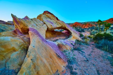 Kum taşı katmanlı Napoli kemeri, açık mavi gökyüzünün altında, Altın Butte Ulusal Anıtı Nevada 'daki çöl bitkilerinin ve kırmızı tepelerin arasında göze çarpıyor.
