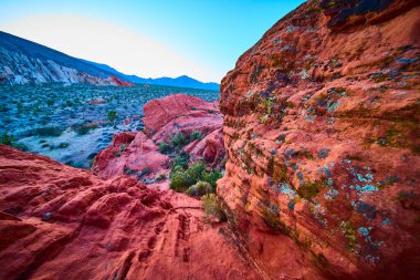 Nevada 'daki Gold Butte Ulusal Anıtı' nda canlı kırmızı kumtaşı kayaları ve çöl bitkisi. Uzak dağlar ve Whitney Pocket 'i çevreleyen berrak gökyüzü.