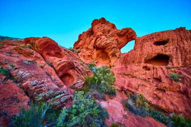 Canlı kırmızı kaya kemeri oluşumu, Nevada 'daki Gold Butte Ulusal Anıtı' nda, açık bir gökyüzünün altında çöl çalılarının ve yıpranmış ceplerin üzerinde yükseliyor.