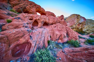 Çarpıcı kırmızı kaya kavisli oluşum, eşsiz erozyon desenleri ve Nevada 'daki Ulusal Altın Göt Anıtı' nda çöl bitkisi. Parlak güneşli gökyüzünün altında.