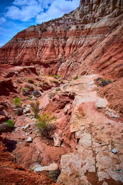 Kanab Utah yakınlarındaki Toadstool Hoodoos Patikası boyunca uzanan engebeli kırmızı kaya kanyonu manzarasında dramatik katmanlı uçurumlar vardır. Yeryüzünü şekillendirmiş ve canlı mavi gökyüzünün altında seyrek çöl bitkileri.