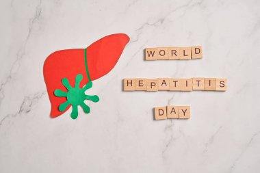 Karaciğer, hepatit aşısı, dünya hepatit günü