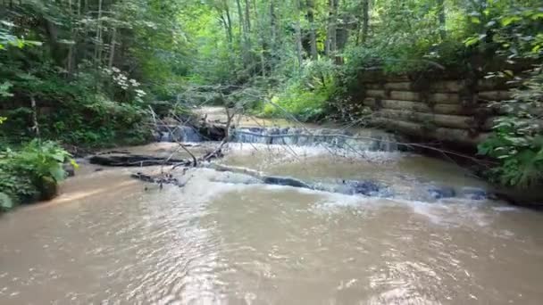 Mihova River Κάμερα Κίνηση Χαμηλά Πάνω Από Νερό Κάμερα Κίνηση — Αρχείο Βίντεο