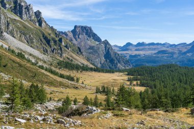 Alpe Devero yakınlarındaki güzel çayırlara, ormanlara ve dağlara bakın..