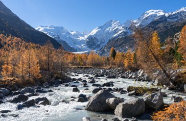 Altın sonbahar renkleri ve Bernina dağlarının yüksek dağları güzel bir günde.