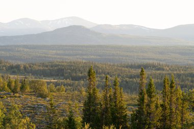 Forest and mountains in National Park Valadalen, Jamtland. clipart